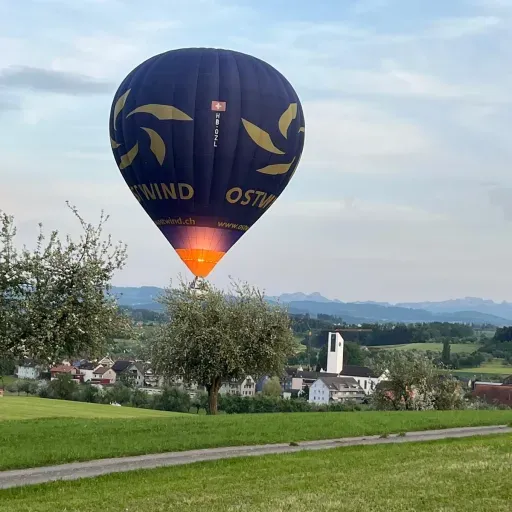 Happy landing