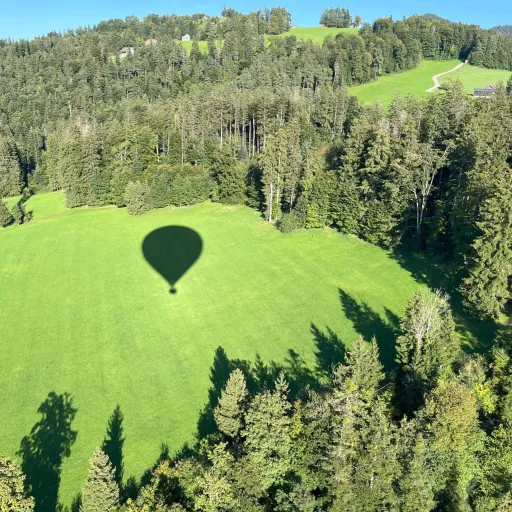 Schatten eines Luftballons auf frühherbstlicher Wiese